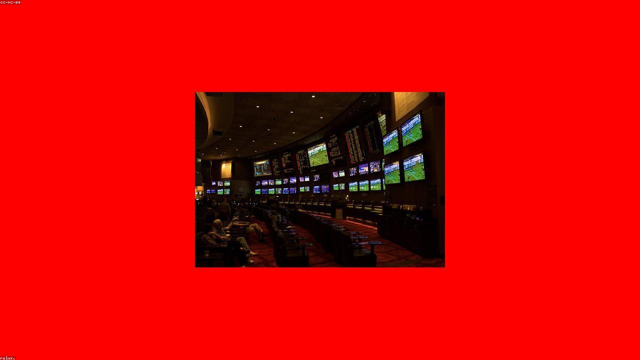Sportsbook Betting Dhoni88